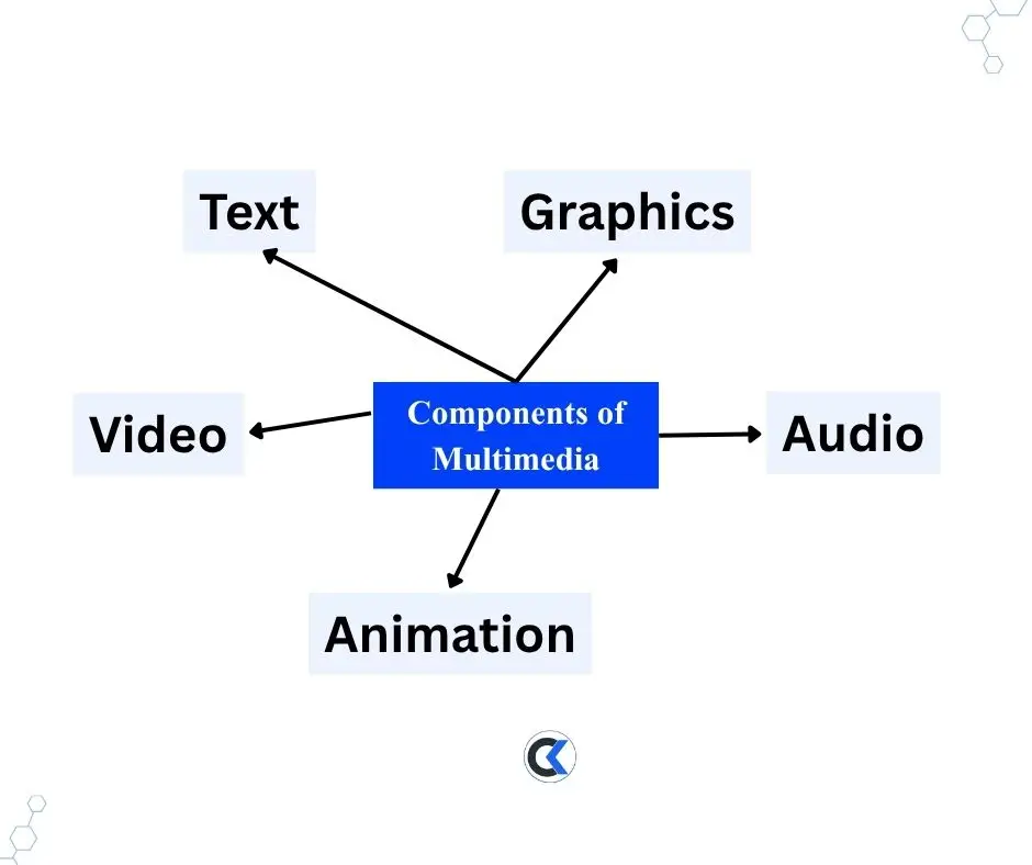 Components of multimedia